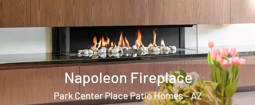 Napoleon Fireplace Park Center Place Patio Homes - AZ