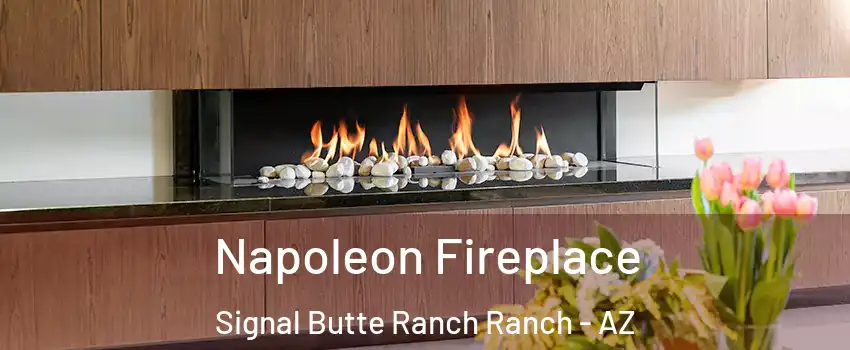 Napoleon Fireplace Signal Butte Ranch Ranch - AZ