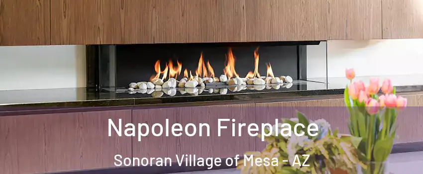 Napoleon Fireplace Sonoran Village of Mesa - AZ