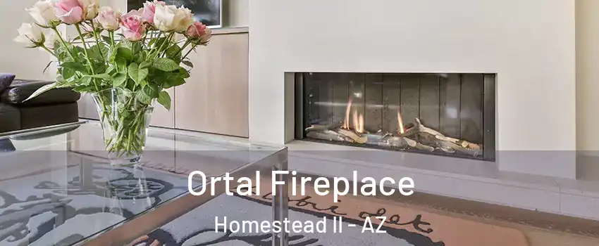 Ortal Fireplace Homestead II - AZ