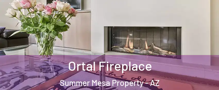 Ortal Fireplace Summer Mesa Property - AZ