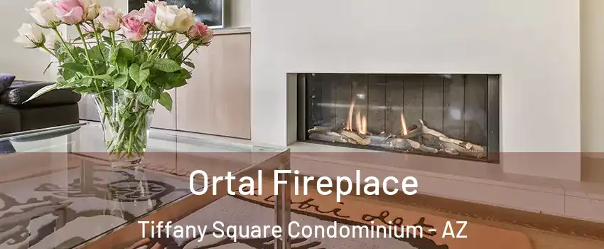 Ortal Fireplace Tiffany Square Condominium - AZ