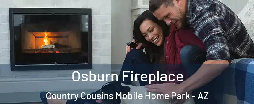 Osburn Fireplace Country Cousins Mobile Home Park - AZ