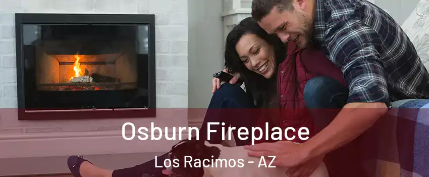 Osburn Fireplace Los Racimos - AZ