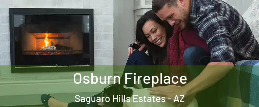 Osburn Fireplace Saguaro Hills Estates - AZ