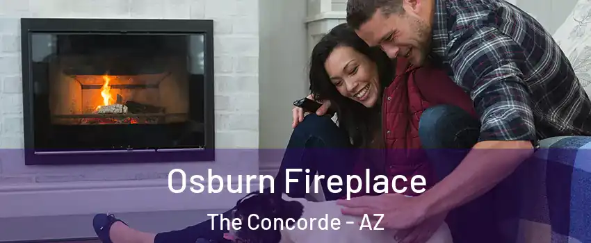 Osburn Fireplace The Concorde - AZ