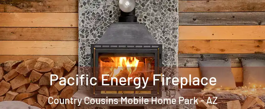 Pacific Energy Fireplace Country Cousins Mobile Home Park - AZ