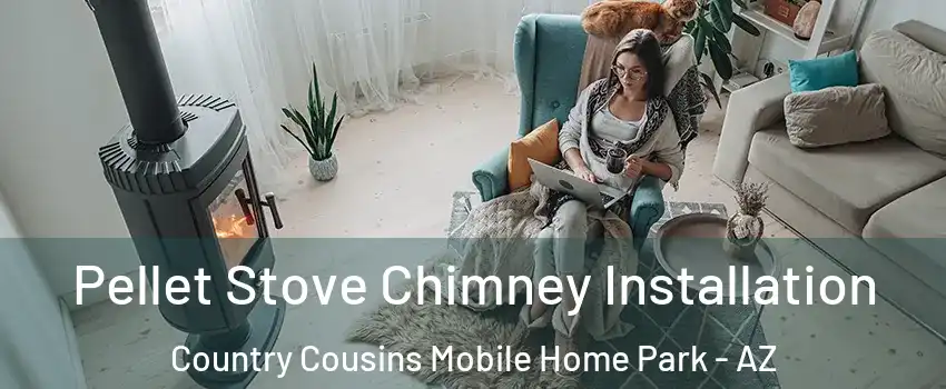 Pellet Stove Chimney Installation Country Cousins Mobile Home Park - AZ