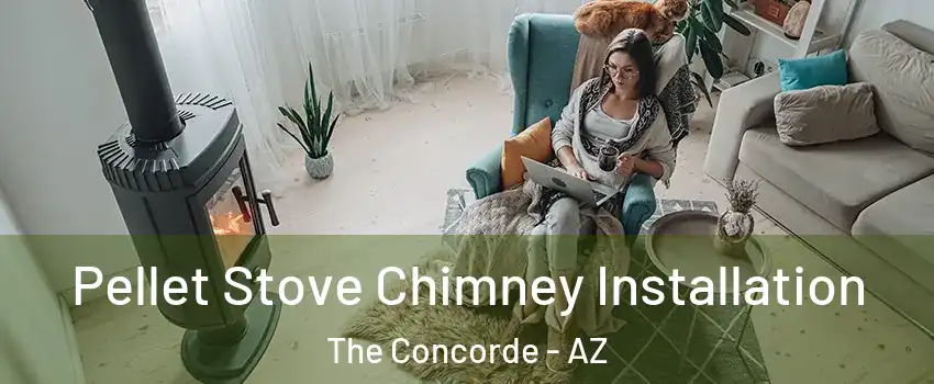 Pellet Stove Chimney Installation The Concorde - AZ