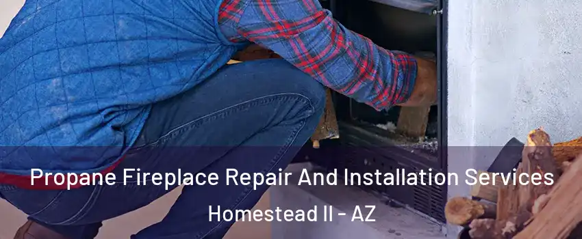 Propane Fireplace Repair And Installation Services Homestead II - AZ