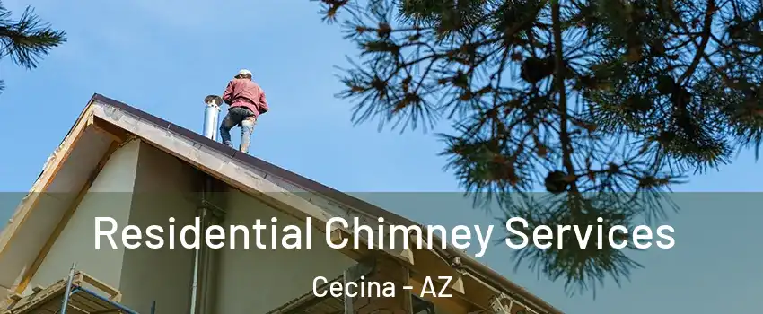 Residential Chimney Services Cecina - AZ