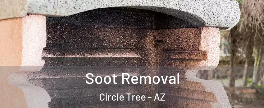 Soot Removal Circle Tree - AZ