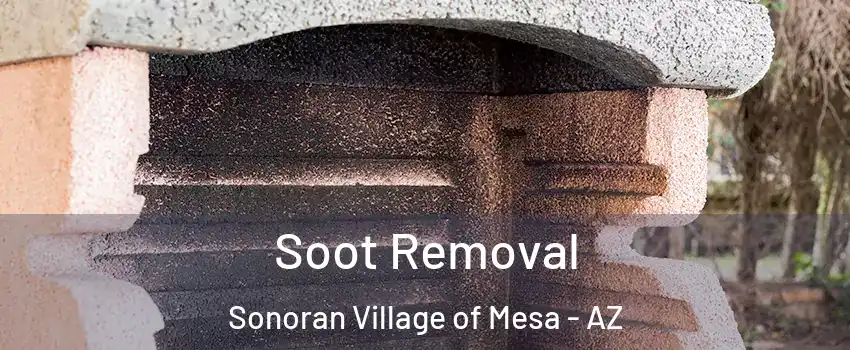 Soot Removal Sonoran Village of Mesa - AZ