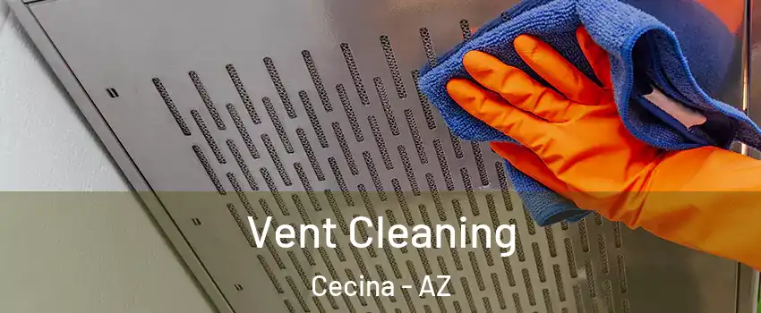 Vent Cleaning Cecina - AZ