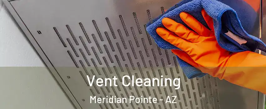 Vent Cleaning Meridian Pointe - AZ