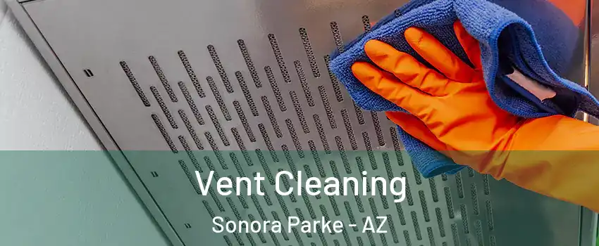 Vent Cleaning Sonora Parke - AZ