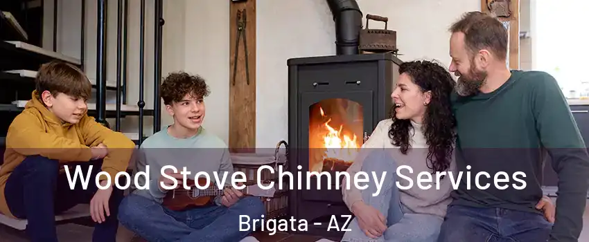 Wood Stove Chimney Services Brigata - AZ