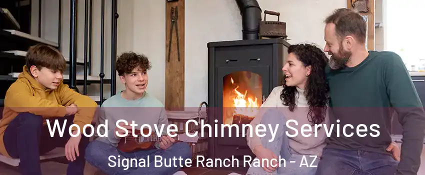 Wood Stove Chimney Services Signal Butte Ranch Ranch - AZ